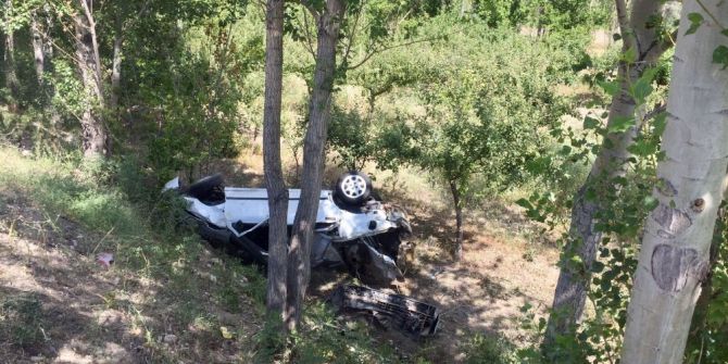 Kontrolden Çıkan Otomobil Ağaça Çarptı: 1 Yaralı