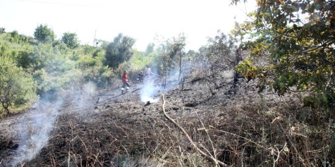 Ormanlık Alandaki Yangın Büyümeden Söndürüldü