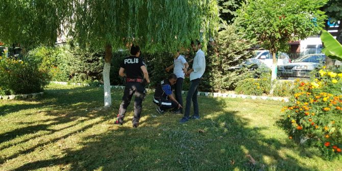 Güvenli Parklar İçin Polis Görevi Başında
