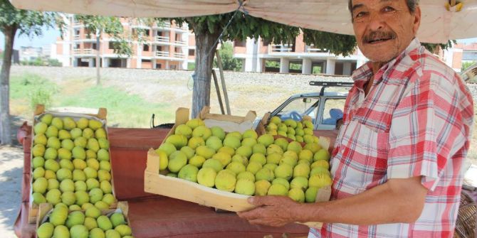 Aydın İnciri Tezgahlarda Yerini Aldı