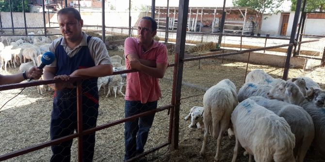 Meclis Stresini Köyde Atıyor