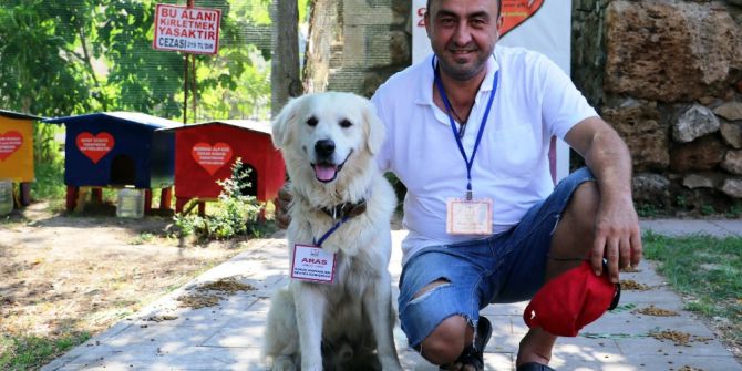 Turizm Elçisi Kedilerin Koruması Fenomen Köpek ’Aras’