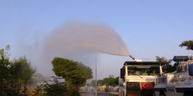 Toma Bu Kez Kuruyan Ağaçlara Su Sıktı