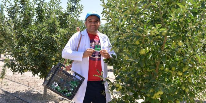 Faydalı Böcekler Kayseri’de İş Başında