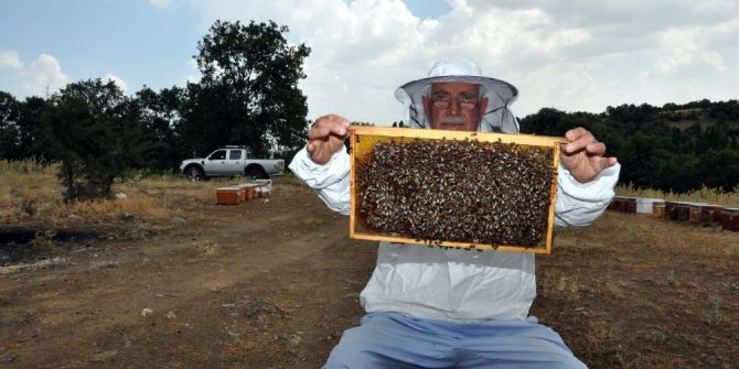 Uşak’ta Bal Üretimine Endeksli “Apiterapi” Merkezleri Kurulacak