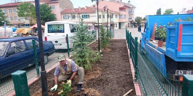 Aslanapa’da Ağaç Ve Gül Dikim Çalışmaları