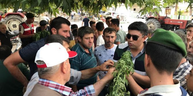 Jandarmanın Köylüye Verdiği Uyuşturucu Eğitim Meyvesini Verdi