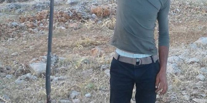 Ovacık’ta 2 Metre Uzunluğunda Yılan Öldürüldü