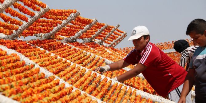 Sıcak Hava En Çok Onların Yüzünü Güldürüyor