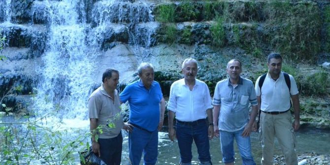 Zonguldak Ormanlarının Gizli Hazineleri Gün Yüzüne Çıkarılıyor