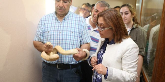 Şahin, Hayvanat Bahçesinde İncelemelerde Bulundu