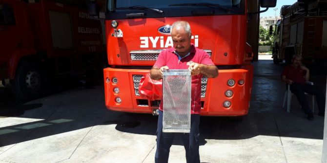 Otomobile Giren Yılan Korkuttu