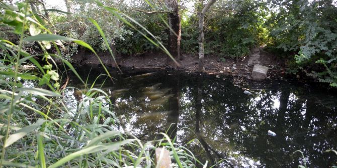 Akarca Islah Edilecek