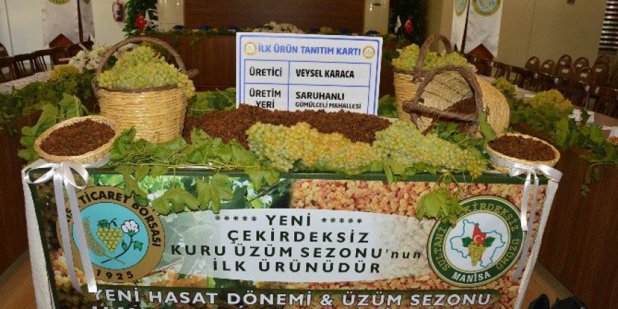 Sezonun İlk Kuru Üzümü 50 Tl’den Satıldı