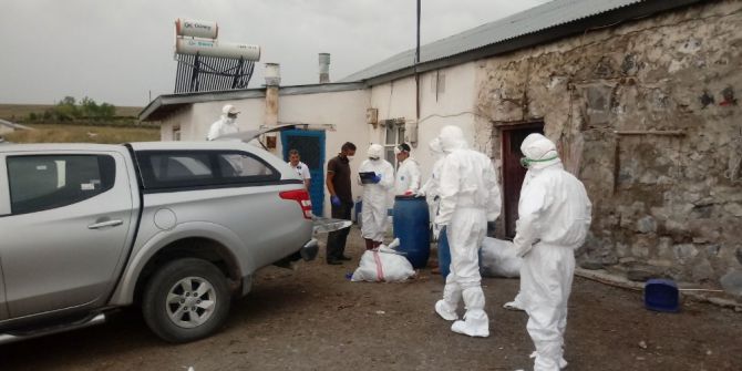 Kars’ta Kuş Gribi Şüphesi