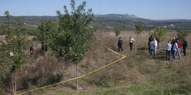 Müebbetten Kurtaran Mesaj...