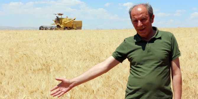 Konya Ovası’nda Kışın Bereketi Görülmeye Başlandı