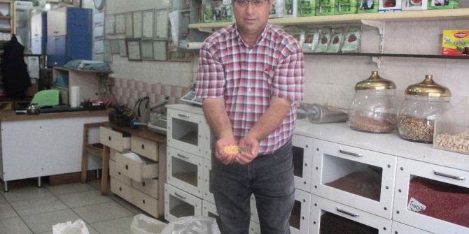 Yerli Tohum Sertifika Bekliyor