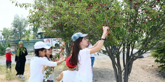 Keçiörenli Çocuklar Yaz Kampında Hem Eğleniyor Hem Öğreniyor