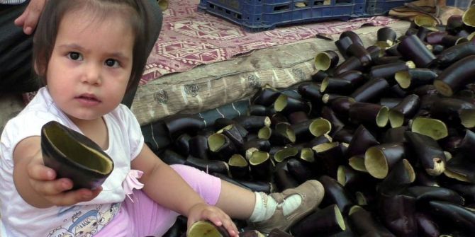 Amerika’nın ‘Silikon Vadisi’ne Nazilli’den Rakip; Patlıcan Vadisi