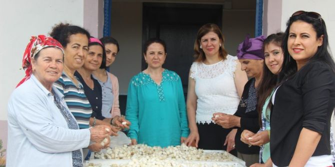 Samandağlı Kadınların ‘İpek Köyü’nde Diriliş Öyküsü