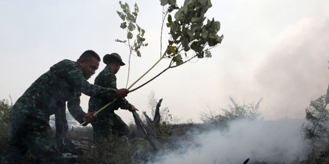 Endonezya’da Orman Yangını