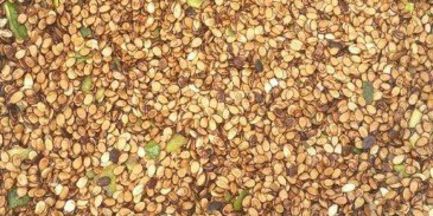 Karpuz Çekirdeği Yetiştiriciliği Artıyor