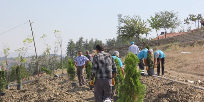 Sungurlu Belediyesi 920 Fidanı Toprakla Buluşturdu