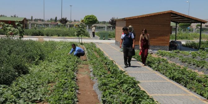 Büyükşehir’den Organik Hizmet