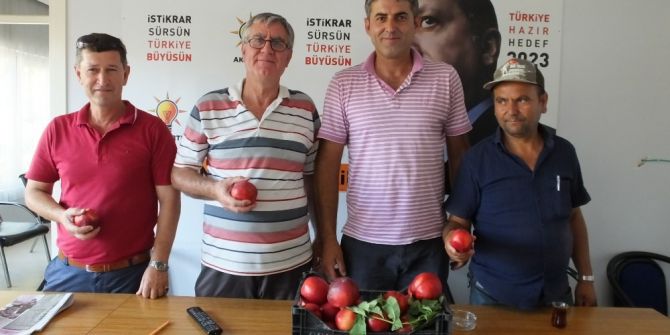 Burhaniye’de Siyasetçi Üretici