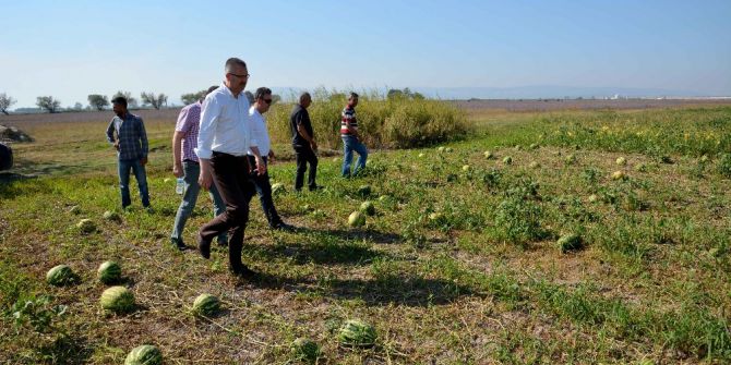 Başkan Özkan Dolunun Vurduğu Ovada İncelemelerde Bulundu