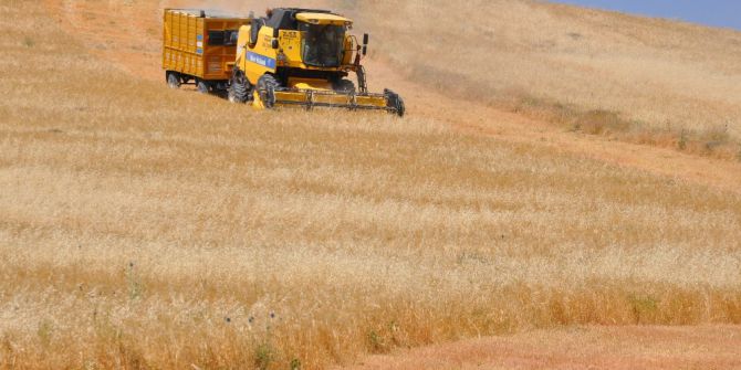 Muş’ta Buğday Ve Arpa Hasat Dönemi Başladı