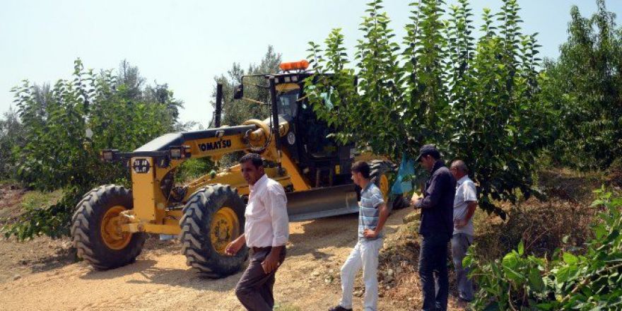 Akdeniz’de Yeni Tarım Yolları Açılıyor