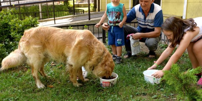 Can Dostlar İçin Her Köşeye Bir Kap Su