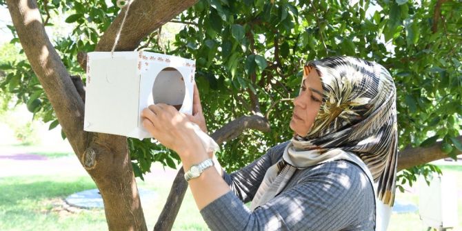 Konyaaltı’nda Parklara Yararlı Böcek