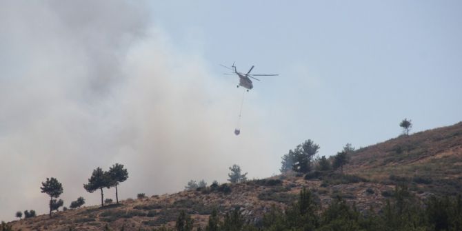 Hatay’da Orman Yangını