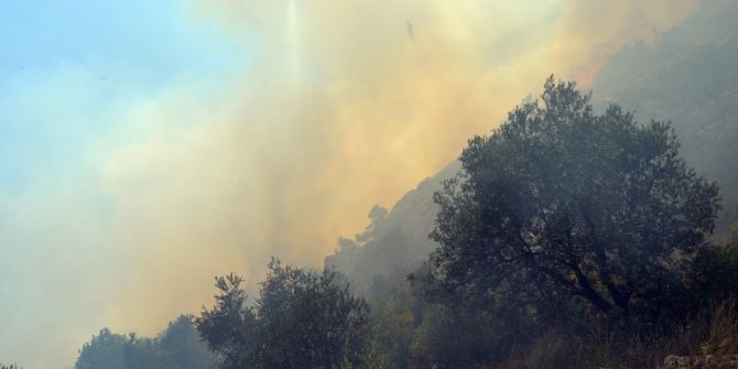 Tarihi Kozan Kalesi’nde Orman Yangını