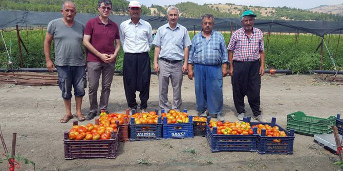 Hibe Destekli Fidelerden İlk Mahsul Alındı