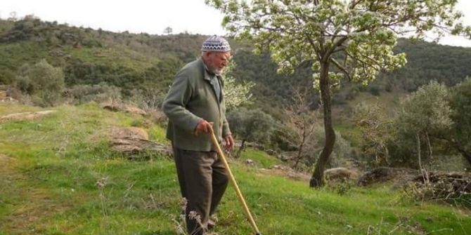Aydın Bir Çınarını Daha Kaybetti