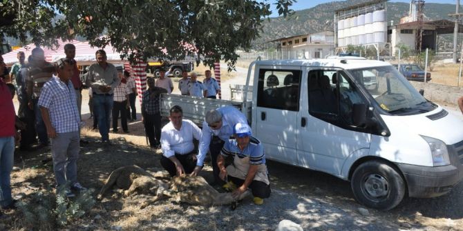 Buharkent’te Tarihi Gün