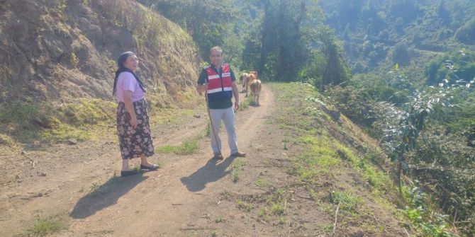 Jandarmadan Kaybolan İnek Alarmı