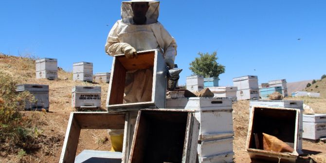 Pes Dedirten Hırsızlık, Arı Kovanlarından Balları Çaldılar