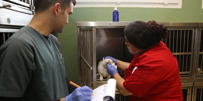 Buca’da Can Dostları Yuvasız Kalmıyor