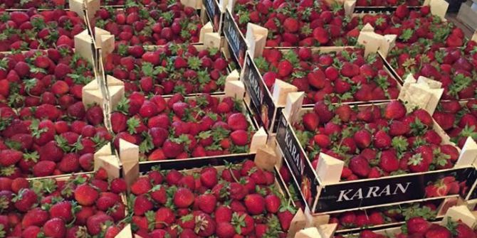 Bolluk Yaz Meyvelerini Ucuzlattı