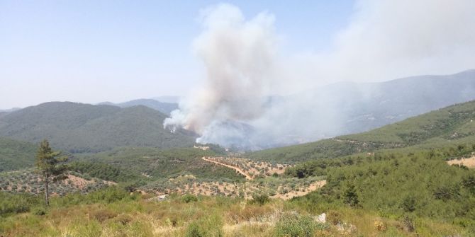 Bayındır’daki Yangın Kısmen Kontrol Altına Alındı