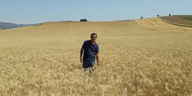 Belediye Vatandaşlar İçin Buğday Ekti