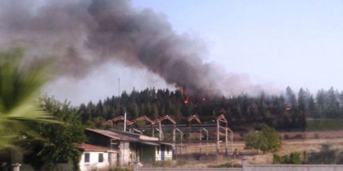 Orman Yangınına 1 Gözaltı