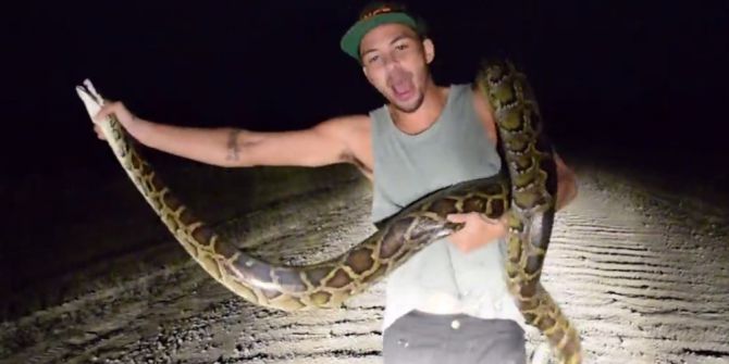 3 Metrelik Pitonu Elleriyle Yakaladı