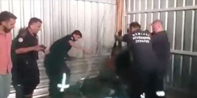 Foseptik Çukuruna Düşen Dana Kurtarıldı