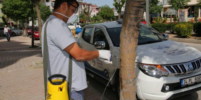 Elazığ’da Ağaçlar Enjeksiyon Yöntemiyle Korunuyor